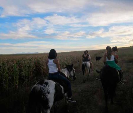 estancia-santa-ana-15