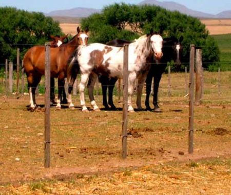 estancia-santa-ana-2