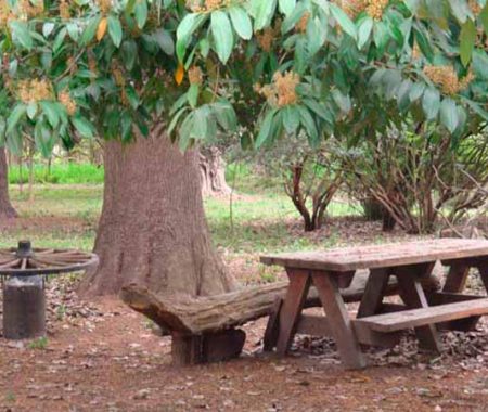 estancia-santa-ana-22